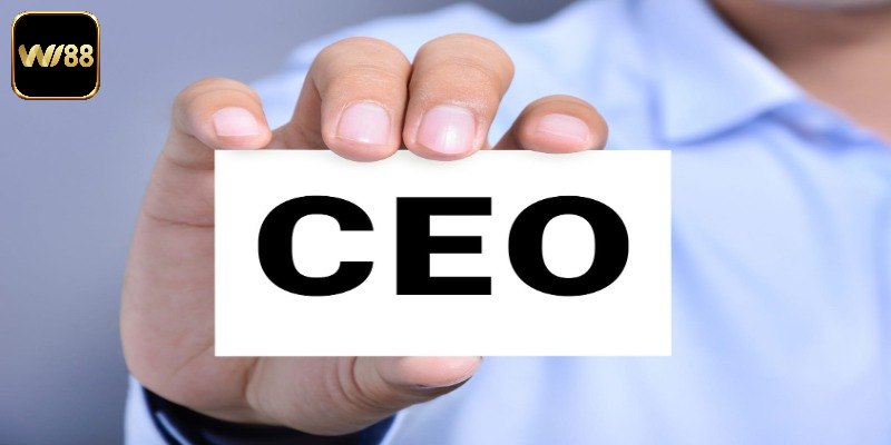 Hướng đi bền vững dưới sự dẫn dắt của CEO Jethro Phan Wi88